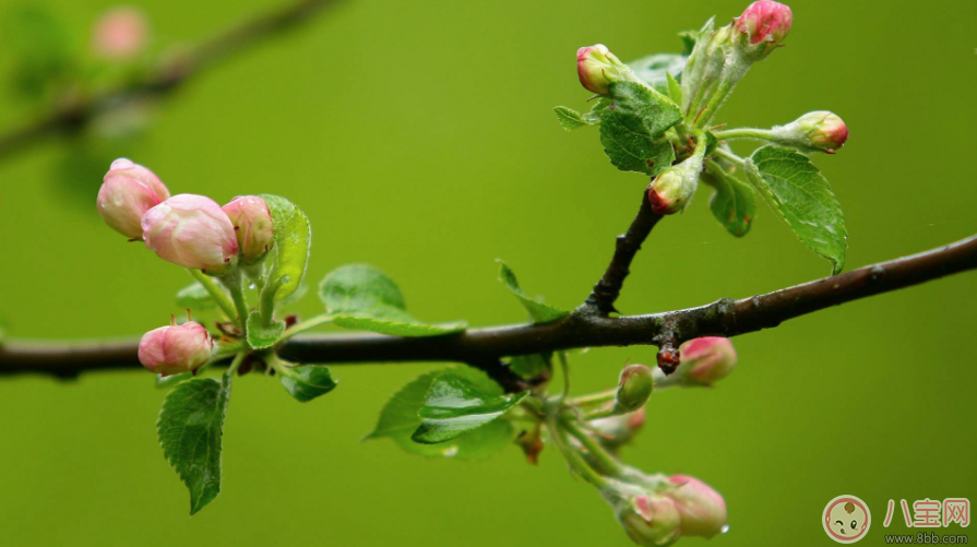關(guān)于期待春天的句子 期待春天的到來的心情說說朋友圈