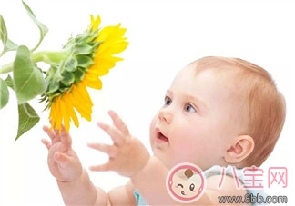 寶寶吃阿莫西林過敏癥狀 2歲寶寶服用阿莫西林過敏怎么辦 