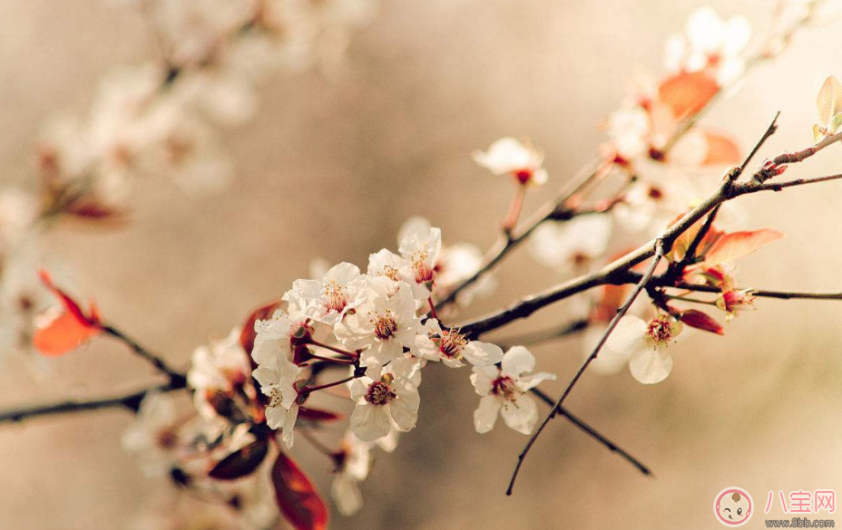 三月你好早安心語 2018三月你好說說朋友圈 三月你好早安心語 2018三月你好說說朋友圈