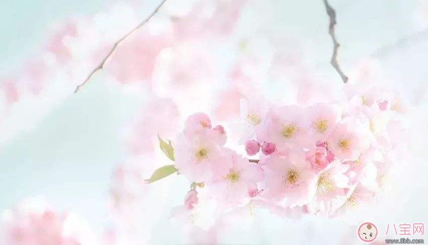 三月你好早安心語 2018三月你好說說朋友圈 三月你好早安心語 2018三月你好說說朋友圈