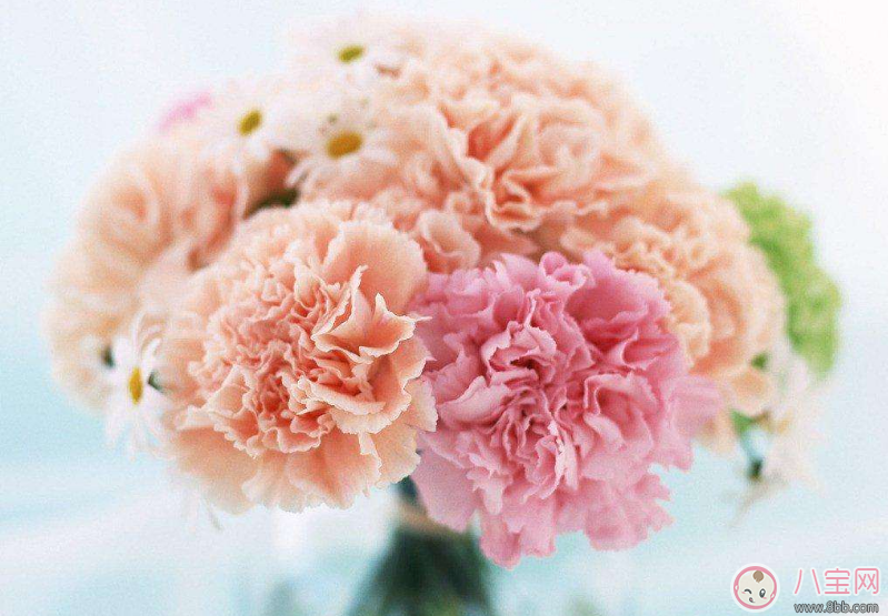 三八婦女節給媽媽的祝福短信 婦女節給媽媽的祝福句子說說 三八婦女節給媽媽的祝福短信 婦女節給媽媽的祝福句子說說