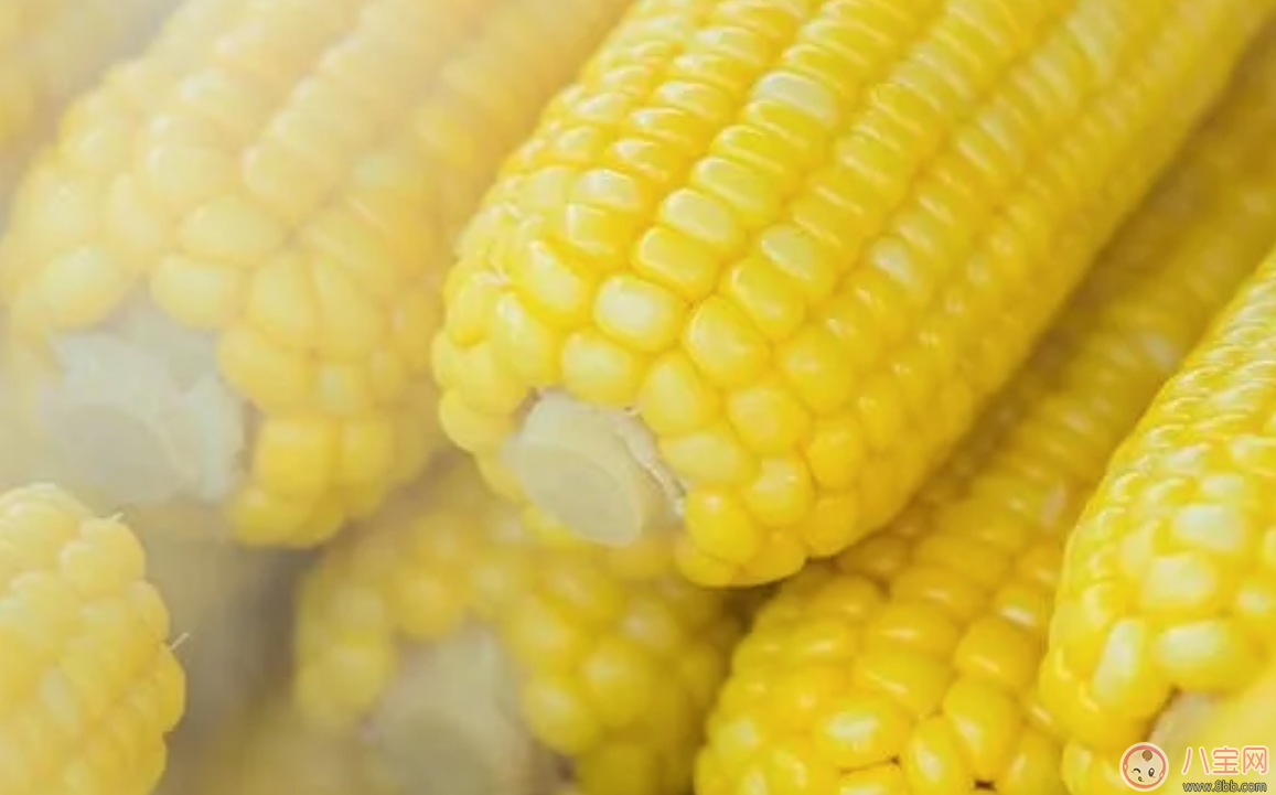 應該什么時候給孩子吃粗糧 小孩子吃什么雜糧好 應該什么時候給孩子吃粗糧 小孩子吃什么雜糧好