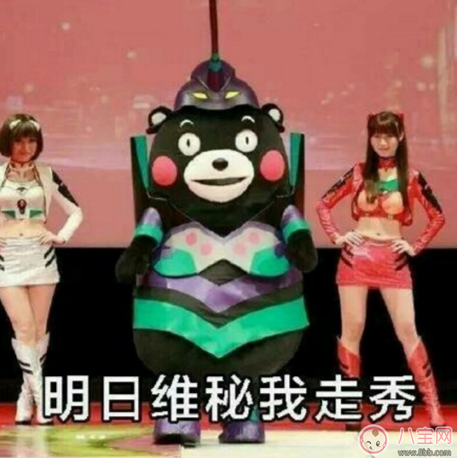 三月不減肥四月徒傷悲表情包 關于三月不減肥四月徒傷悲高清大圖 三月不減肥四月徒傷悲表情包 關于三月不減肥四月徒傷悲高清大圖