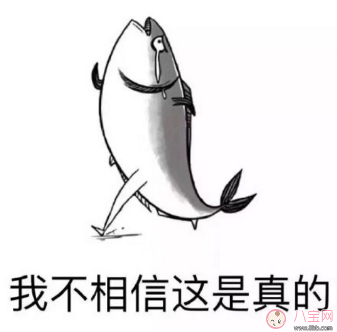 三月不減肥四月徒傷悲表情包 關于三月不減肥四月徒傷悲高清大圖 三月不減肥四月徒傷悲表情包 關于三月不減肥四月徒傷悲高清大圖