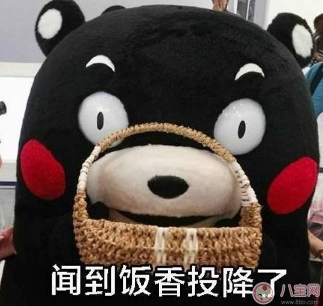 三月不減肥四月徒傷悲表情包 關于三月不減肥四月徒傷悲高清大圖 三月不減肥四月徒傷悲表情包 關于三月不減肥四月徒傷悲高清大圖