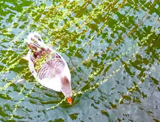 今日驚蟄說說2018 今日驚蟄句子詩詞發朋友圈配圖