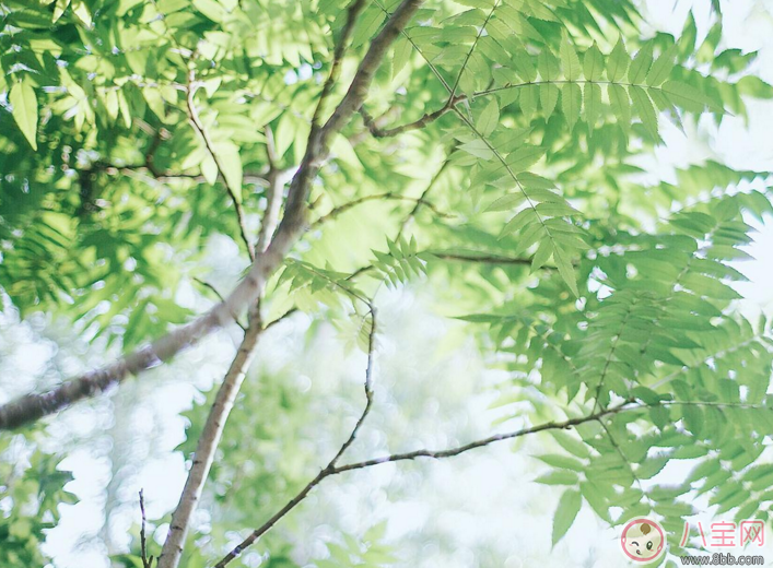 2018春節最后一天心情說說 2018春節結束了的說說圖片