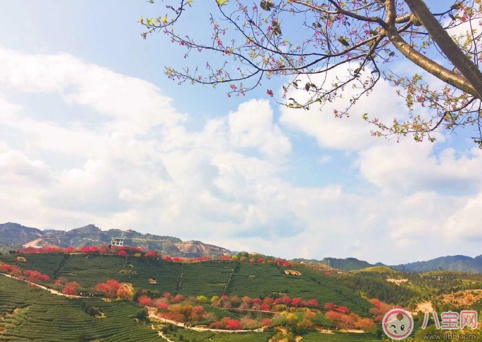今日驚蟄朋友圈發什么祝福的話 2018今日驚蟄說說短信祝福語