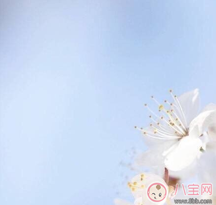 今日驚蟄朋友圈發什么祝福的話 2018今日驚蟄說說短信祝福語