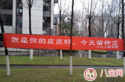 三七女生節標語怎么寫 2018三七女生節創意標語大全