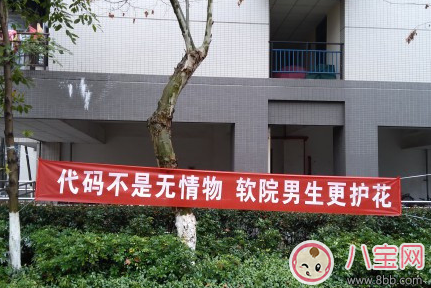 三七女生節標語怎么寫 2018三七女生節創意標語大全