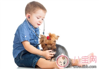 1歲寶寶肚子疼怎么辨別 寶寶肚子痛緩解小妙招