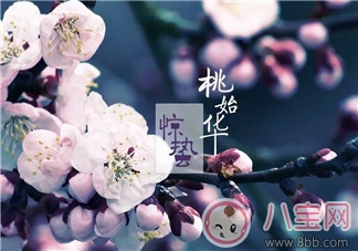 2018驚蟄出生的孩子好不好 驚蟄出生的孩子命運怎么樣 2018驚蟄出生的孩子好不好 驚蟄出生的孩子命運怎么樣