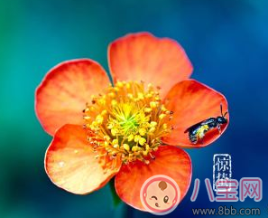 今日驚蟄心情說說朋友圈配圖 2018驚蟄祝福問候語大全