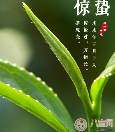 今日驚蟄心情說說朋友圈配圖 2018驚蟄祝福問候語大全