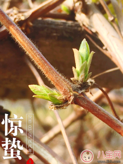 驚蟄為什么要打小人 驚蟄打小人是什么意思