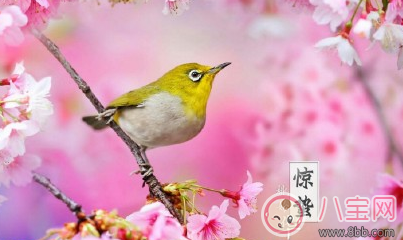 驚蟄打小人要怎么說 2018驚蟄打小人口訣