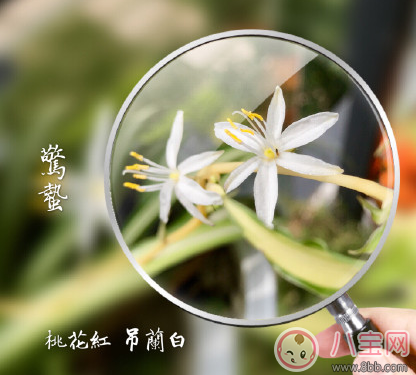 驚蟄打小人要怎么說 2018驚蟄打小人口訣