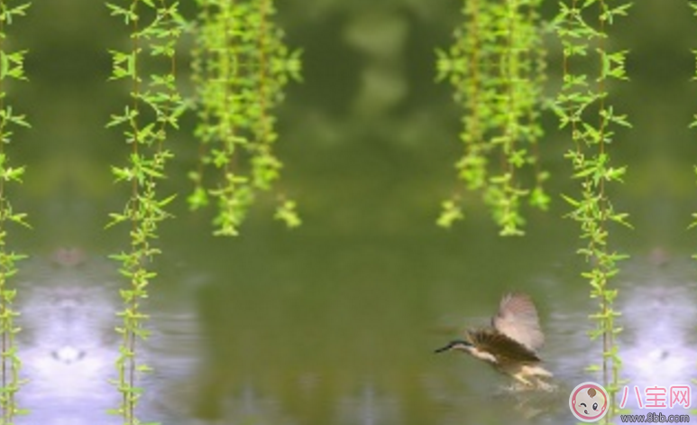 為什么春季容易過敏 如何預防寶寶春季過敏