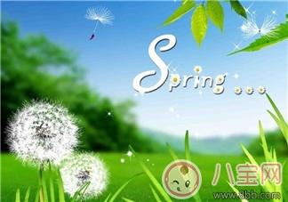 為什么春季容易過敏 如何預防寶寶春季過敏