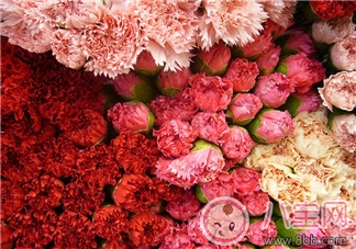 婦女節送媽媽什么花 婦女節送媽媽什么禮物好