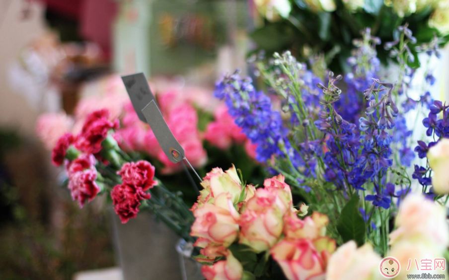 婦女節送媽媽什么花 婦女節送媽媽什么禮物好