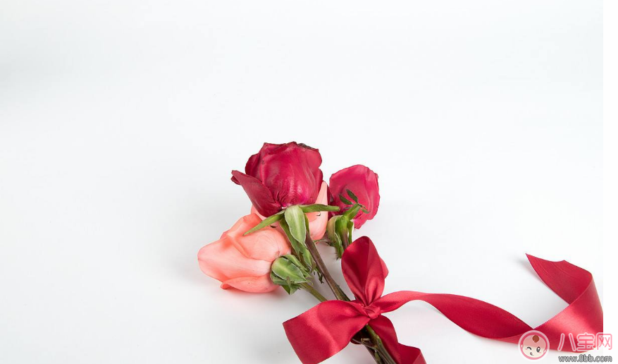 婦女節送媽媽什么花 婦女節送媽媽什么禮物好