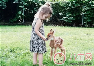 春天孩子補鈣吃什么最好 春季如何給孩子補鈣長高 春天孩子補鈣吃什么最好 春季如何給孩子補鈣長高