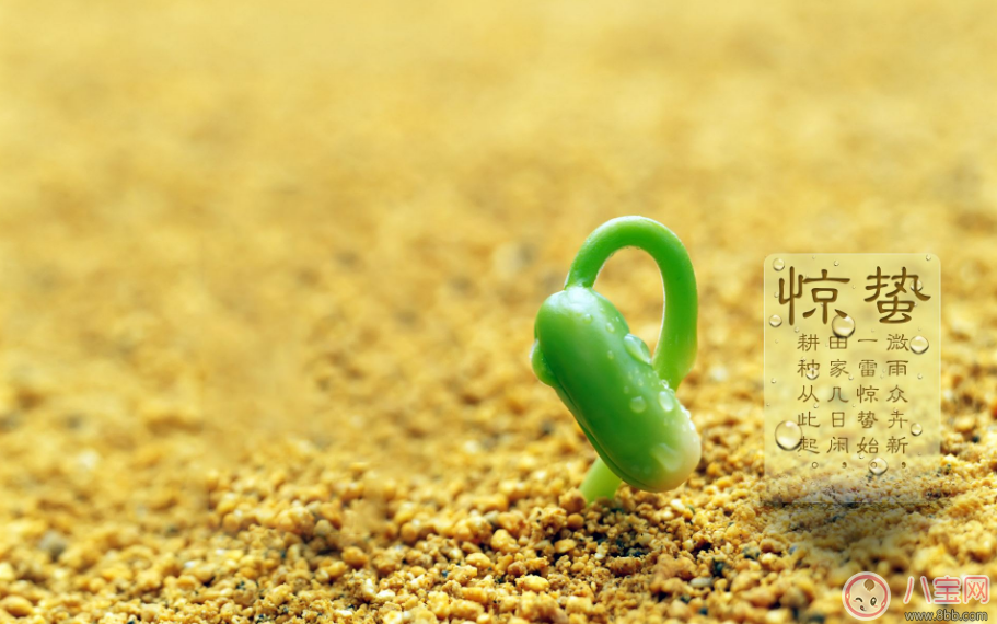 驚蟄之后生活中要注意哪些 驚蟄后帶孩子怎么帶