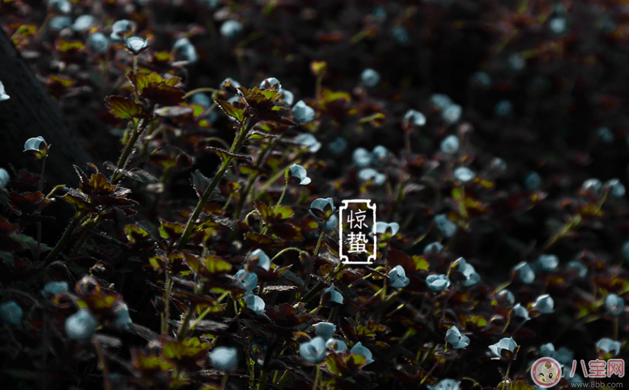 驚蟄之后生活中要注意哪些 驚蟄后帶孩子怎么帶