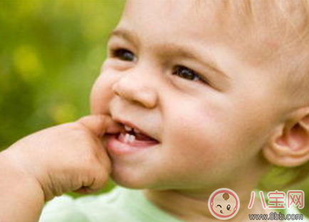 寶寶長牙期吃什么輔食好 寶寶長牙期輔食推薦 寶寶長牙期吃什么輔食好 寶寶長牙期輔食推薦