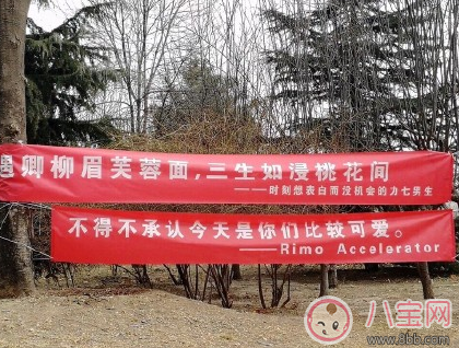 女生節宣傳標語怎么寫 2018女生節橫幅標語大全