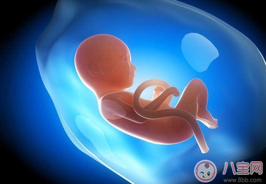 胎兒打嗝說明肺發育好是真的嗎 胎兒打嗝能算胎動嗎 胎兒打嗝說明肺發育好是真的嗎 胎兒打嗝能算胎動嗎
