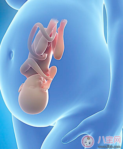 胎兒打嗝說明肺發育好是真的嗎 胎兒打嗝能算胎動嗎 胎兒打嗝說明肺發育好是真的嗎 胎兒打嗝能算胎動嗎