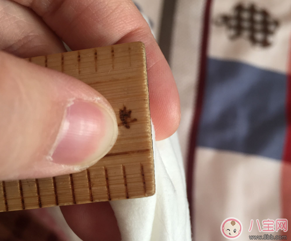 舒博士真芯棉紙尿褲怎么樣 舒博士真芯棉紙尿褲測評