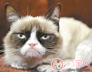 孩子生病不能陪在身邊的心情說說 孩子生病了不在身邊說說句子