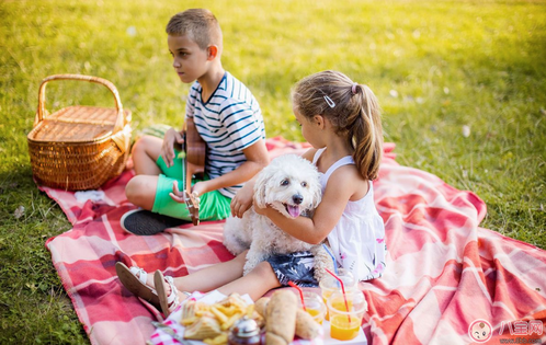 幼兒園春游活動感言心情說說 幼兒園孩子春游的說說句子 幼兒園春游活動感言心情說說 幼兒園孩子春游的說說句子