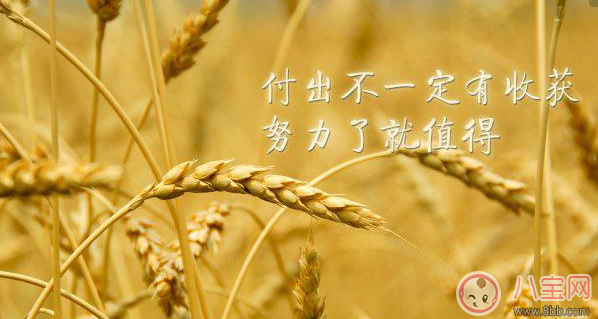 女人為了孩子付出的句子說說 為了孩子再苦再累句子圖片