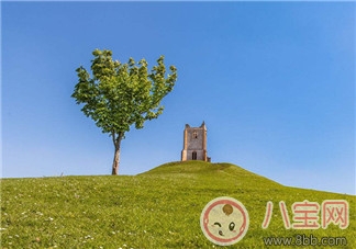 植樹(shù)節(jié)活動(dòng)方案怎么寫 學(xué)校植樹(shù)節(jié)策劃活動(dòng) 植樹(shù)節(jié)活動(dòng)方案怎么寫 學(xué)校植樹(shù)節(jié)策劃活動(dòng)