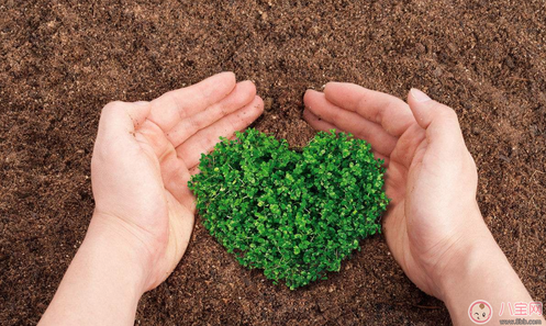 植樹(shù)節(jié)活動(dòng)方案怎么寫 學(xué)校植樹(shù)節(jié)策劃活動(dòng) 植樹(shù)節(jié)活動(dòng)方案怎么寫 學(xué)校植樹(shù)節(jié)策劃活動(dòng)