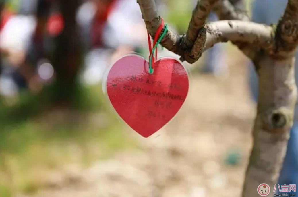 大學(xué)植樹(shù)節(jié)活動(dòng)方案策劃 大學(xué)生植樹(shù)節(jié)策劃書(shū)完整版 大學(xué)植樹(shù)節(jié)活動(dòng)方案策劃 大學(xué)生植樹(shù)節(jié)策劃書(shū)完整版