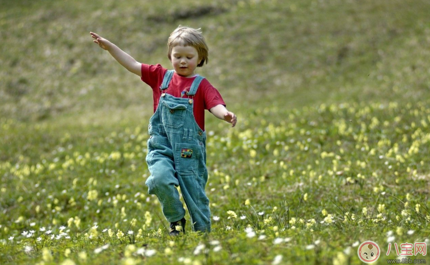 學校組織春游活動家長感言說說 學校親子春游活動家長心情短語句子