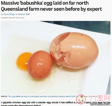 澳大利亞發現罕見蛋中蛋什么情況 蛋中蛋長什么樣子照片