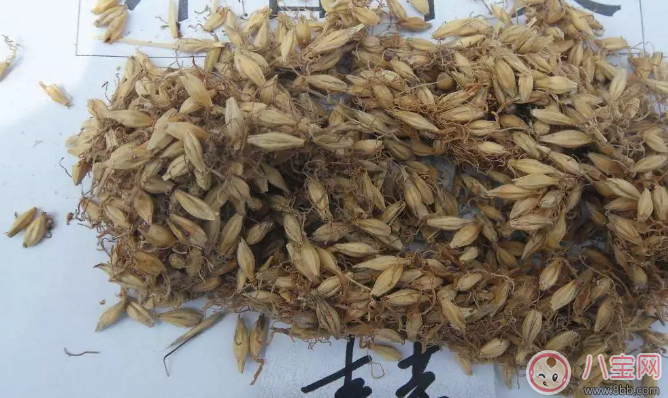 春季給斷奶怎么容易回奶 春天斷奶怎么讓寶寶接受 春季給斷奶怎么容易回奶 春天斷奶怎么讓寶寶接受