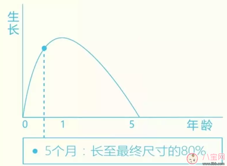 寶寶身上的紅印子是什么東西 孩子身上長紅色的塊狀東西是什么