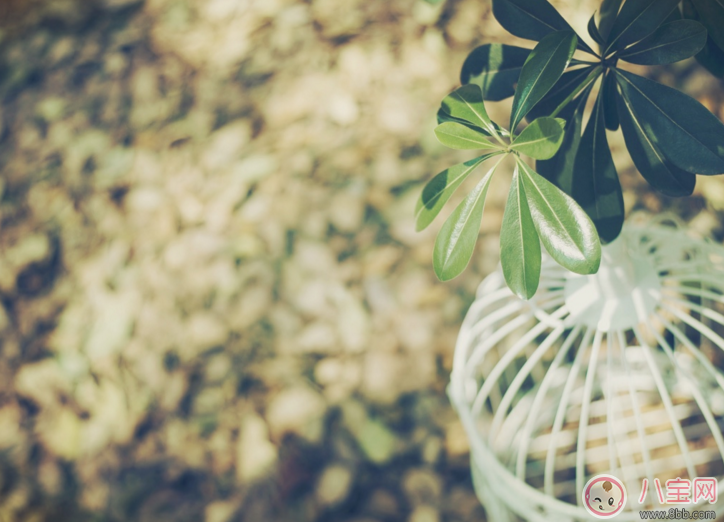 特別想孩子的心情說說圖片 媽媽想孩子的心情語錄