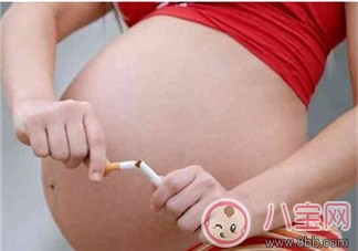 余文樂當著孕妻面抽煙有危險嗎 孕婦能吸二手煙嗎