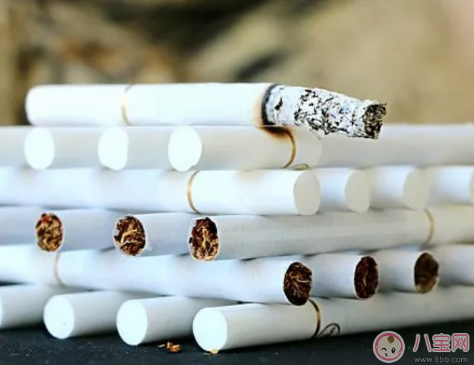 余文樂當著孕妻面抽煙有危險嗎 孕婦能吸二手煙嗎