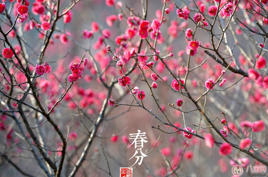 今日春分朋友圈發(fā)什么祝福的話 2018今日春分說(shuō)說(shuō)短信祝福語(yǔ)