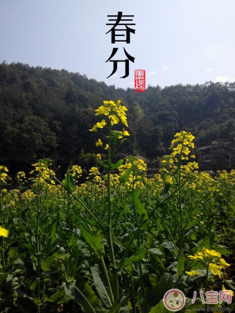 今日春分朋友圈發(fā)什么祝福的話 2018今日春分說(shuō)說(shuō)短信祝福語(yǔ)